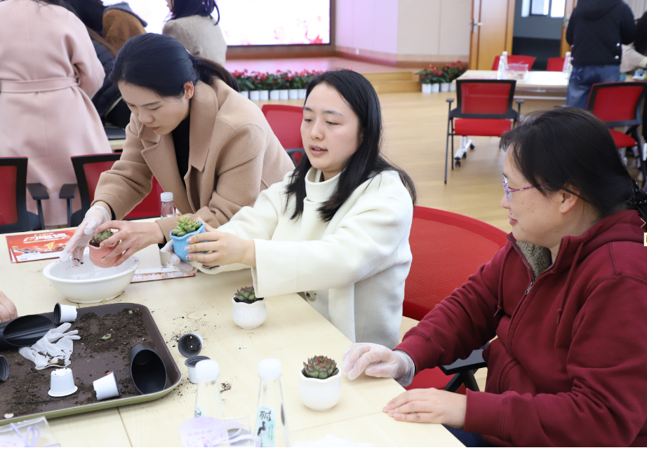 公司本部三八活动种多肉
